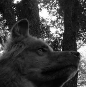 Meet your Posher, Jessie